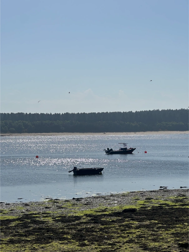 Rural Britain seaside